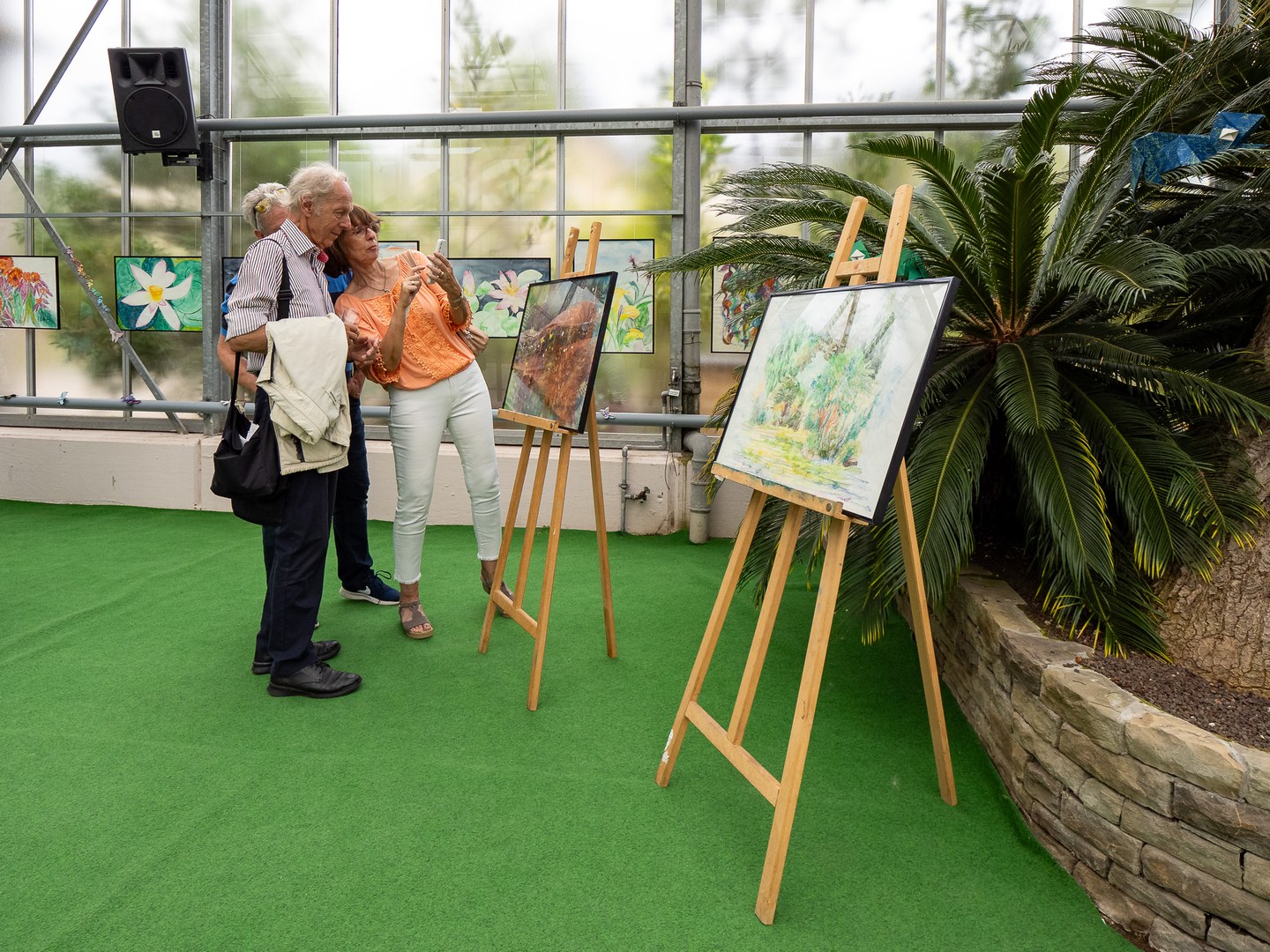 Ausstellung: Das rosa Chamäleon