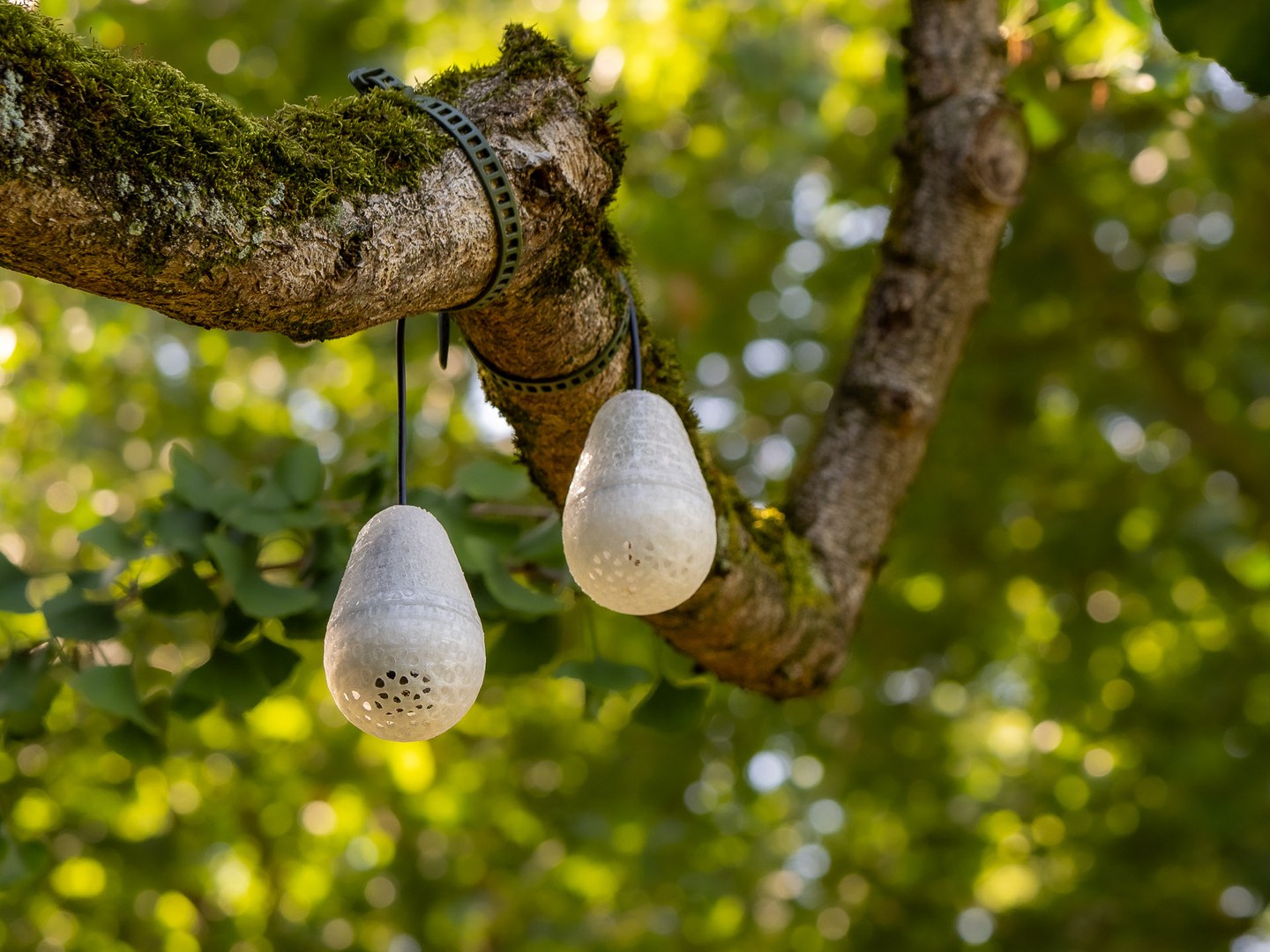 Lichtsensoren im Botanischen Garten